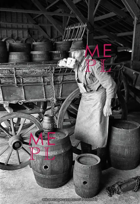 : Cider maker, Somerset, England : Cider maker, Somerset, England