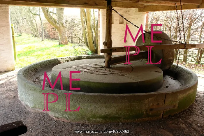 : Cider Press, Avoncroft Museum, Worcestershire : Cider Press, Avoncroft Museum, Worcestershire