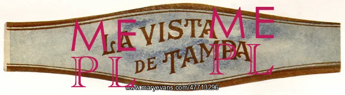  : Cigar Band with Sky