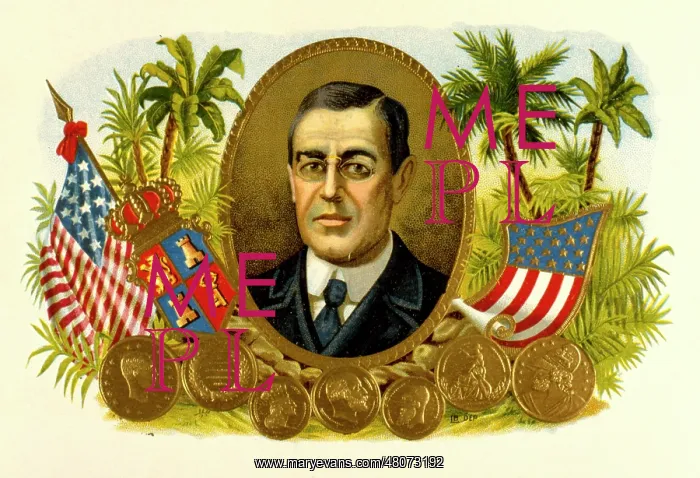  : Cigar label featuring President Woodrow Wilson