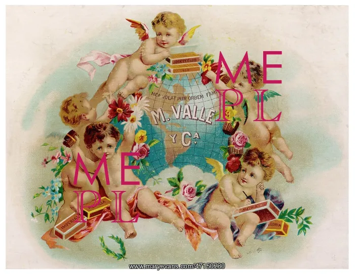 : Cigar label, M Valle and Company : Cigar label, M Valle and Company