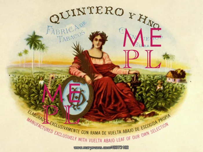: Cigar label, Quintero y Hermano, Cuba : Cigar label, Quintero y Hermano, Cuba