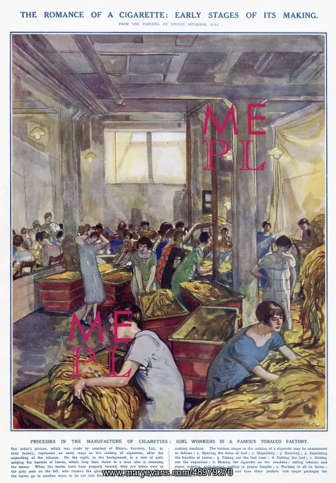 : Cigarette manufacturing by Steven Spurrier : Cigarette manufacturing by Steven Spurrier