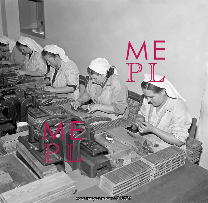 : Cigars. Czechoslovakia - Pisek, 1950. Women employed by tobacco factory roll : Cigars. Czechoslovakia - Pisek, 1950. Women employed by tobacco factory roll