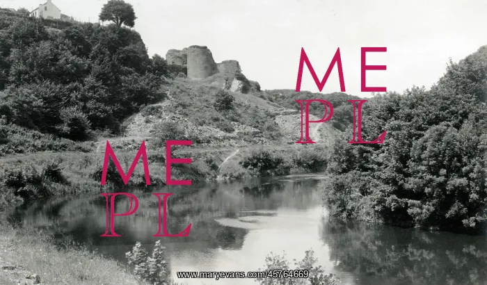 : Cilgerran Castle, Cilgerran, Pembrokeshire, South Wales : Cilgerran Castle, Cilgerran, Pembrokeshire, South Wales