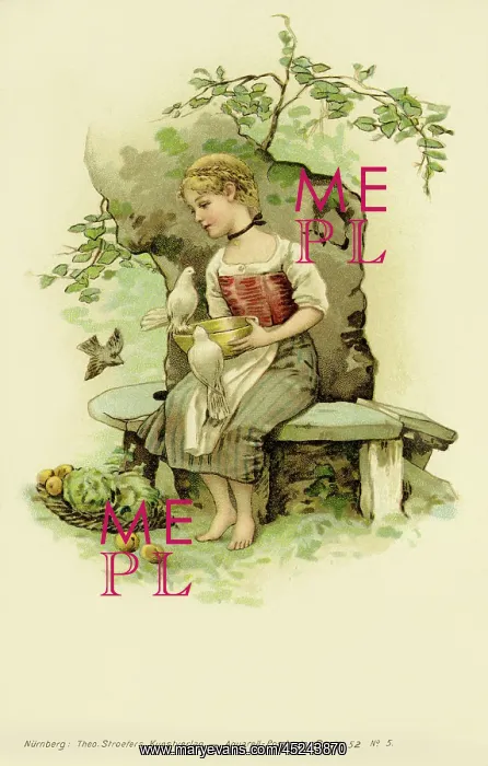  : Cinderella