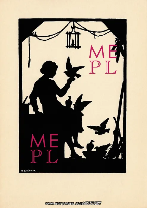 : Cinderella in silhouette : Cinderella in silhouette