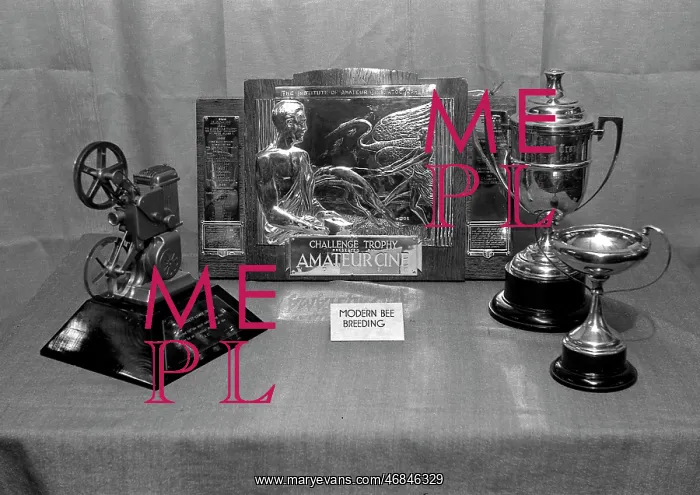 : Cinematography trophies on display : Cinematography trophies on display
