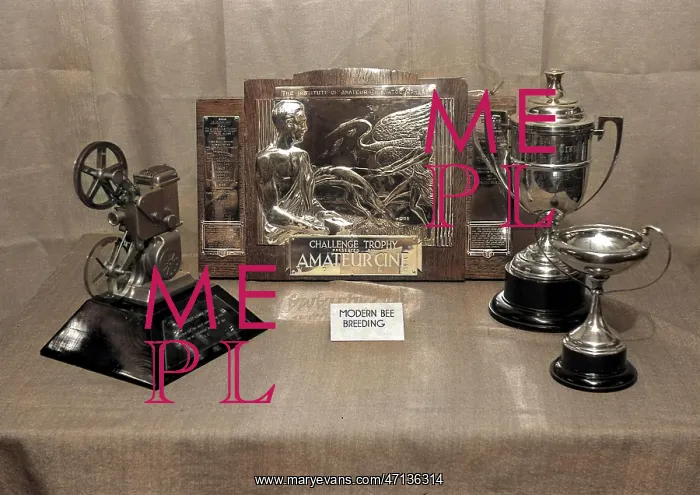 : Cinematography trophies on display : Cinematography trophies on display