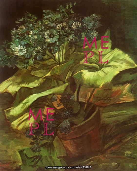 : Cineraria in a Flowerpot, by Van Gogh : Cineraria in a Flowerpot, by Van Gogh