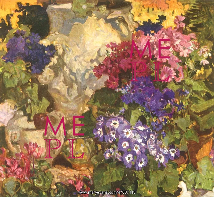 : Cinerarias, by Frank Brangwyn : Cinerarias, by Frank Brangwyn