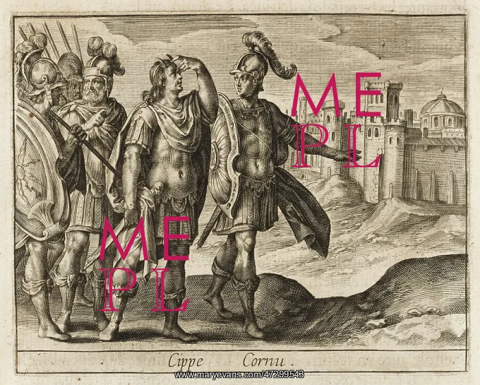 : CIPPIUS GENUTIUS : CIPPIUS GENUTIUS