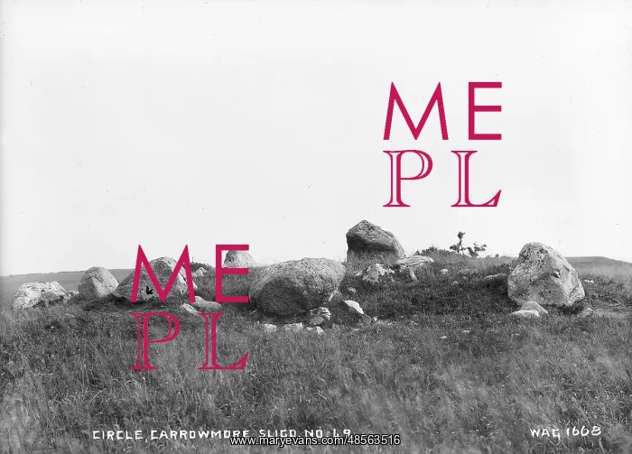 : Circle, Carrowmore, Sligo.No.49 : Circle, Carrowmore, Sligo.No.49