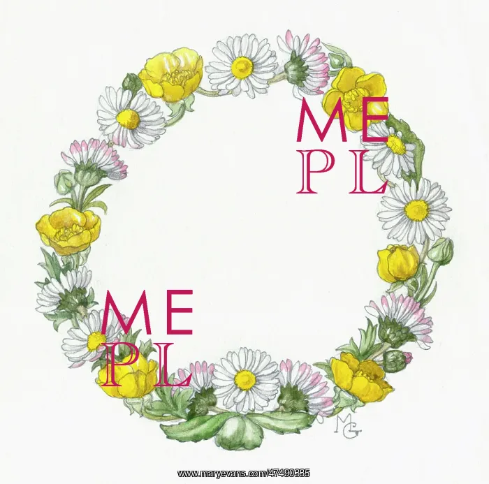  : Circle of Daisies and Buttercups