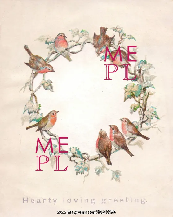  : Circle of robins on a Christmas card