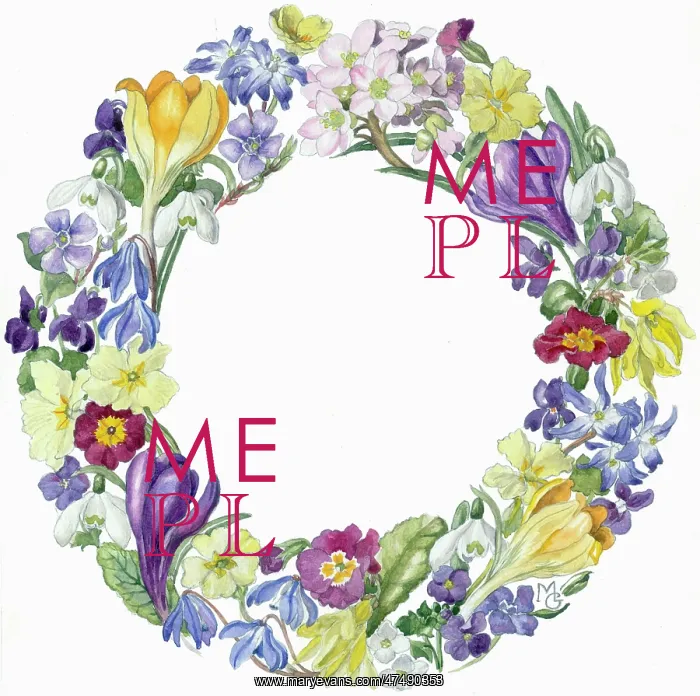 : Circle of Spring Flowers ' daffodils, crocuses : Circle of Spring Flowers ' daffodils, crocuses
