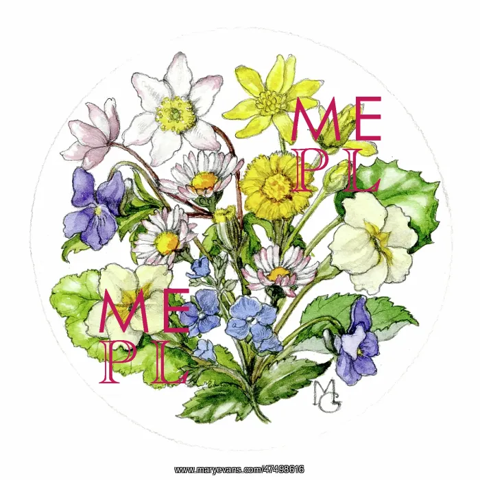 : Circular design of spring flowers : Circular design of spring flowers