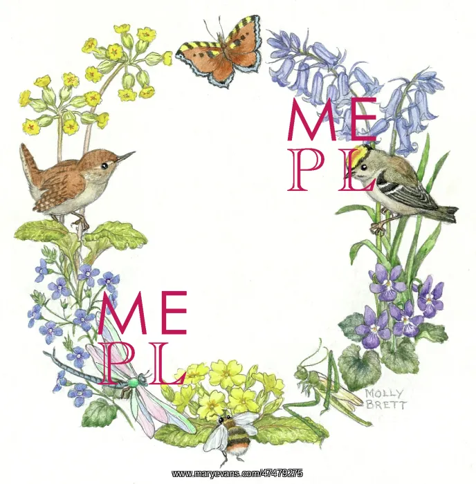 : Circular design with wren, goldcrest, butterfly : Circular design with wren, goldcrest, butterfly