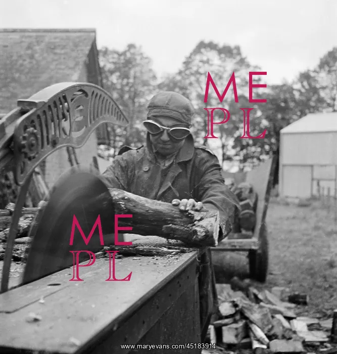 : Circular Saw : Circular Saw