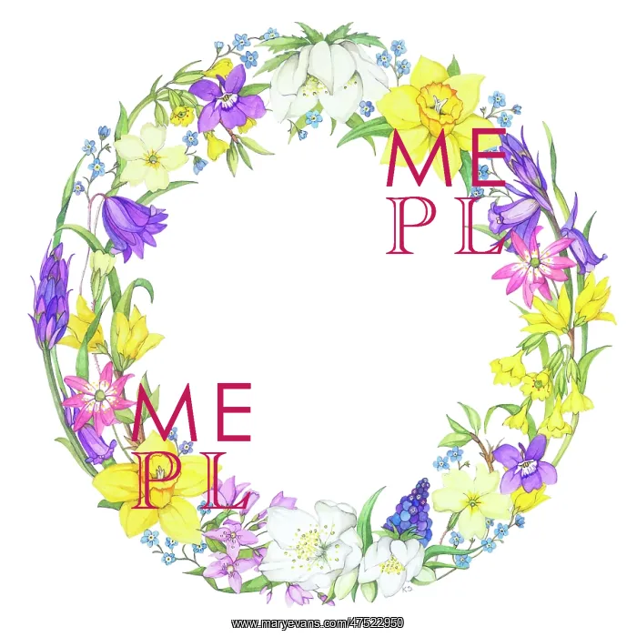 : Circular Spring Flower Border : Circular Spring Flower Border