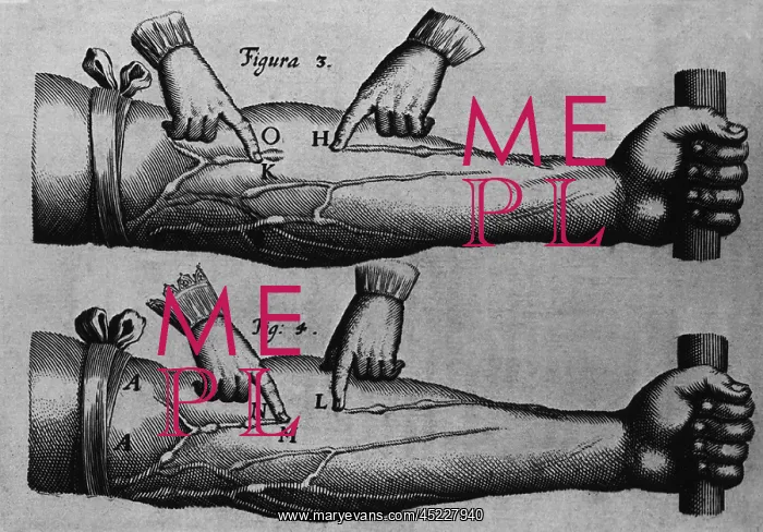 : Circulation of the blood from William Harvey's ? : Circulation of the blood from William Harvey's ?