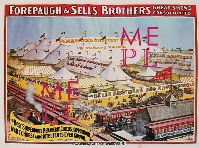 : Circus. Forepaugh and Sells Brothers Great Shows Consolidated : Circus. Forepaugh and Sells Brothers Great Shows Consolidated