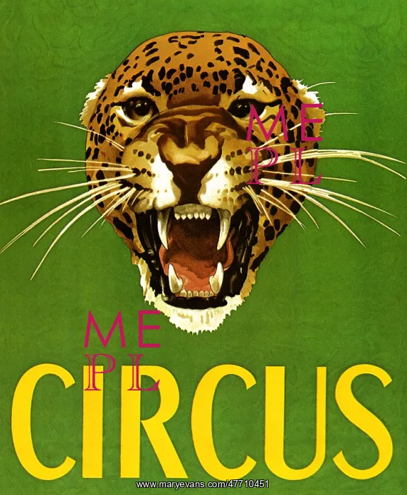  : Circus