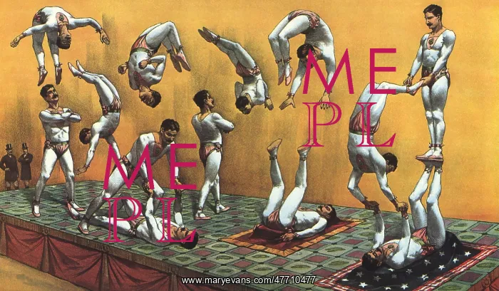  : Circus Acrobats