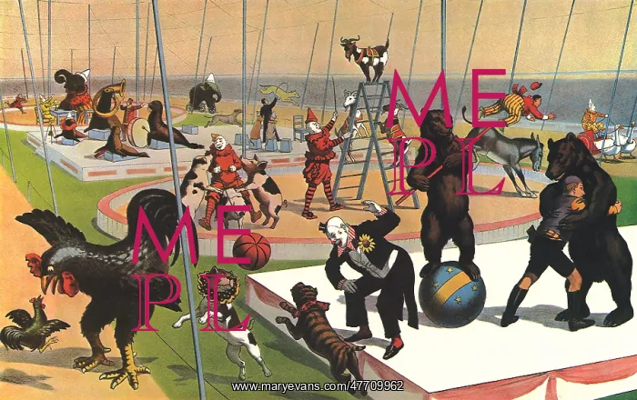  : Circus Animal Acts