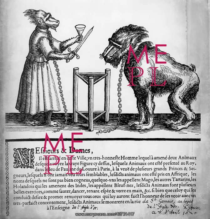 : circus, animal training, announcement of a act : circus, animal training, announcement of a act
