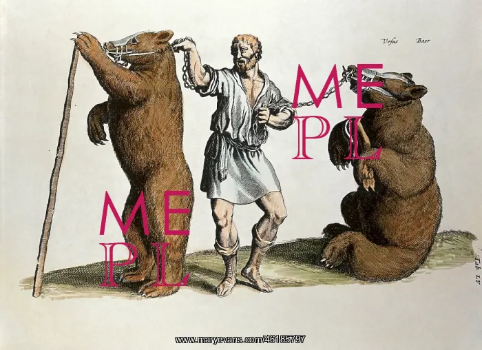 : circus, animal training, bear trainer, engraving : circus, animal training, bear trainer, engraving
