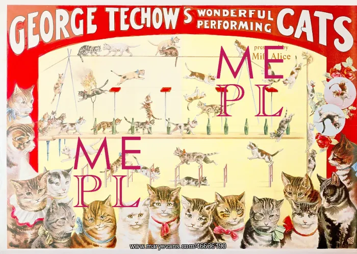 : circus, animal training, George Techow?s Wonderful : circus, animal training, George Techow?s Wonderful