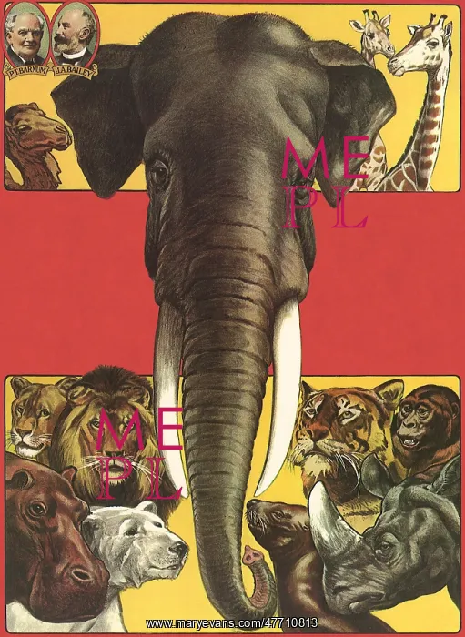  : Circus Animals