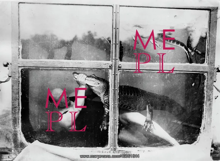 : Circus artist in an underwater-tank : Circus artist in an underwater-tank