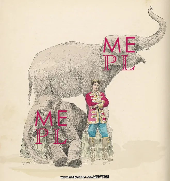  : Circus elephants and their trainer