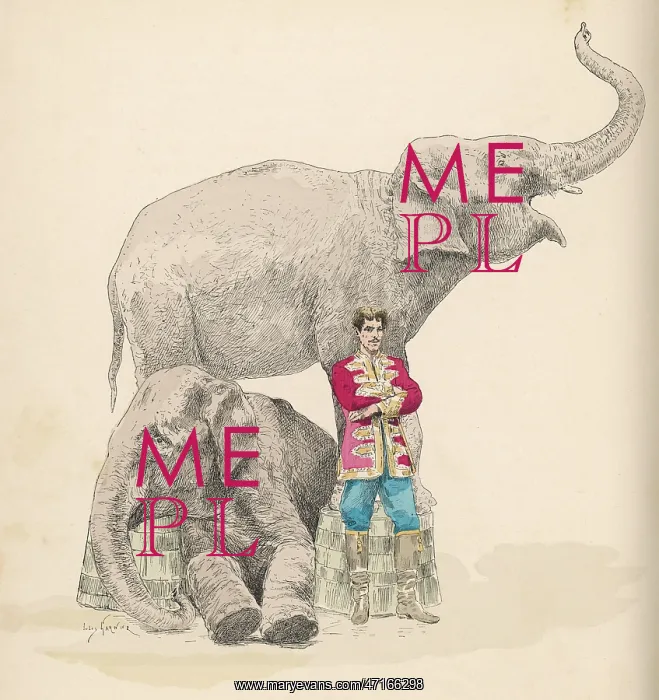  : Circus elephants and their trainer