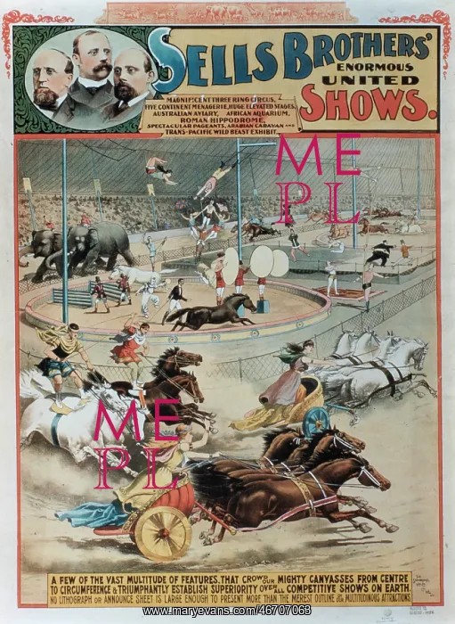 : Circus - Entertainment - Animals : Circus - Entertainment - Animals