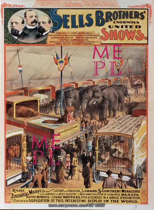 : Circus - Entertainment - Animals : Circus - Entertainment - Animals