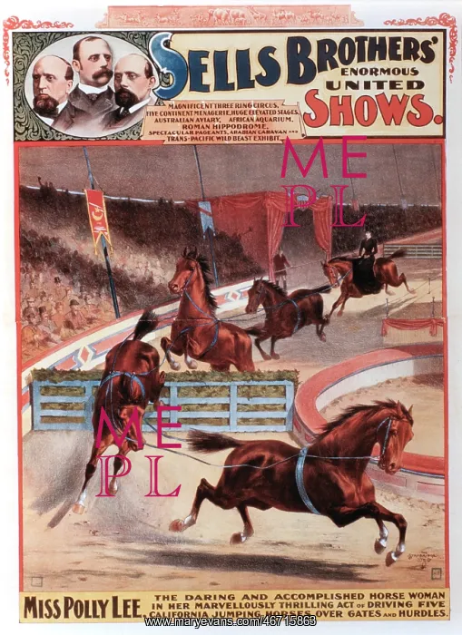 : Circus - Entertainment - Animals : Circus - Entertainment - Animals