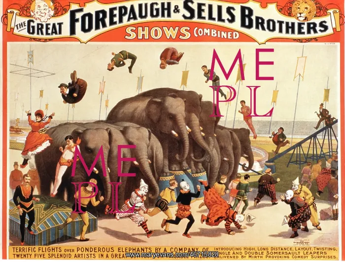 : Circus - Entertainment - Forepaugh & Sells : Circus - Entertainment - Forepaugh & Sells