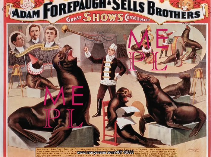 : Circus - Entertainment - Forepaugh & Sells : Circus - Entertainment - Forepaugh & Sells