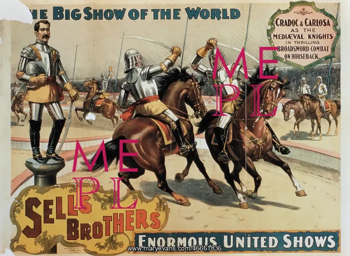 : Circus - Entertainment - Knights : Circus - Entertainment - Knights