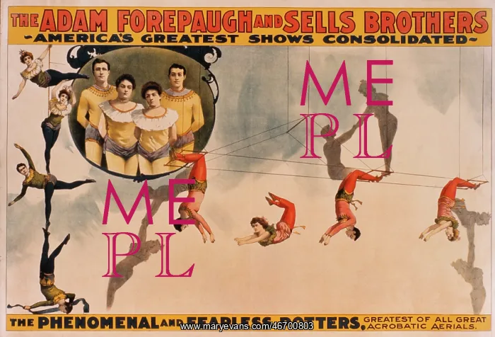 : Circus - Entertainment - Trapeze : Circus - Entertainment - Trapeze