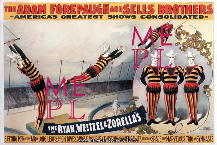 : Circus - Entertainment - Trapeze : Circus - Entertainment - Trapeze