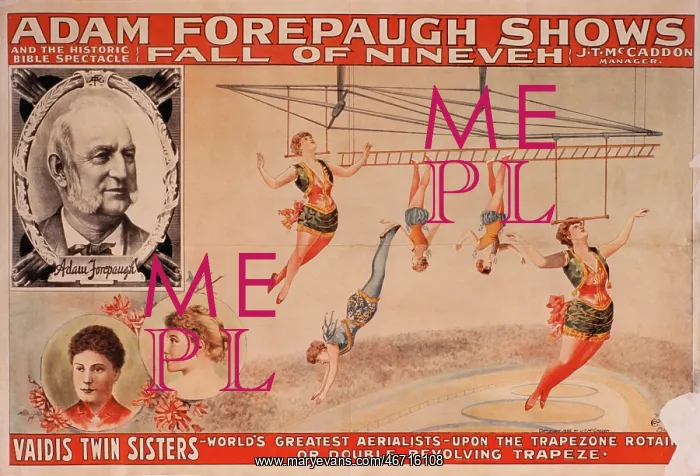 : Circus - Entertainment - Trapeze : Circus - Entertainment - Trapeze
