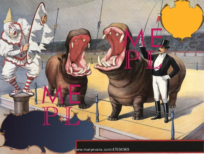 : Circus Hippos and Clown : Circus Hippos and Clown