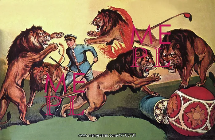  : Circus Lions in Action
