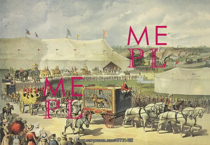  : Circus Parade