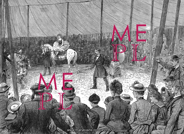 : Circus Performance : Circus Performance