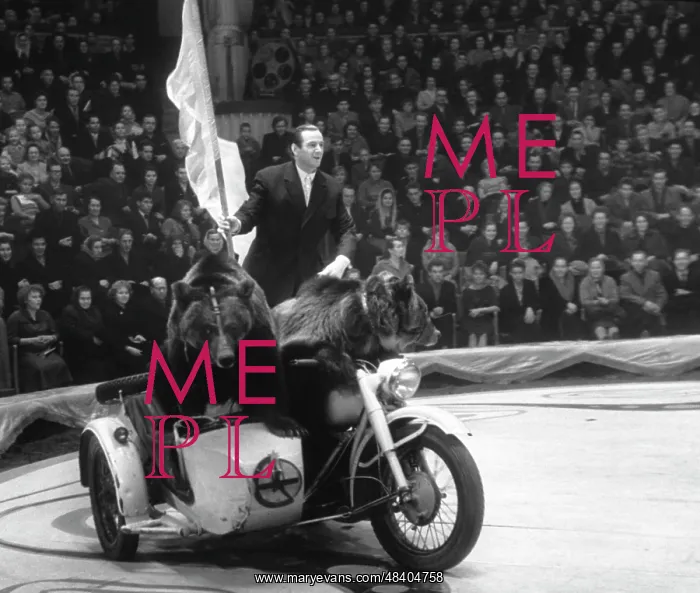 : Circus performance : Circus performance